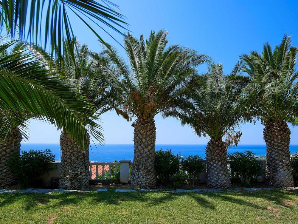 Hotel Aroma Creta Koutsounari Wnętrze zdjęcie