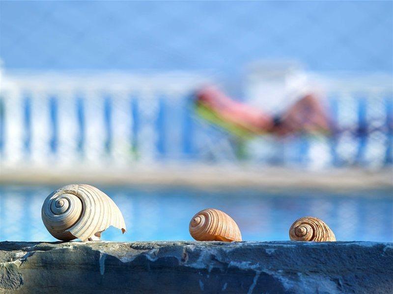 Hotel Aroma Creta Koutsounari Zewnętrze zdjęcie